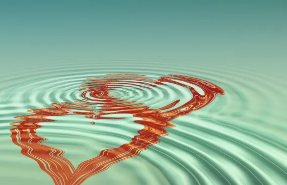 بينجو كوم كازينو الدعم